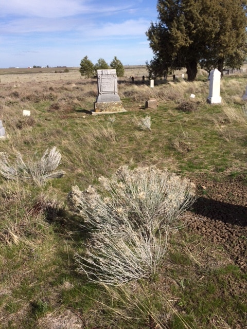 Cemetery