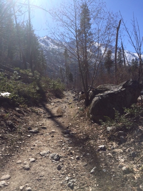 Icicle Trail