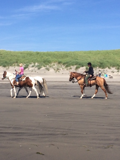 Beach_Horses