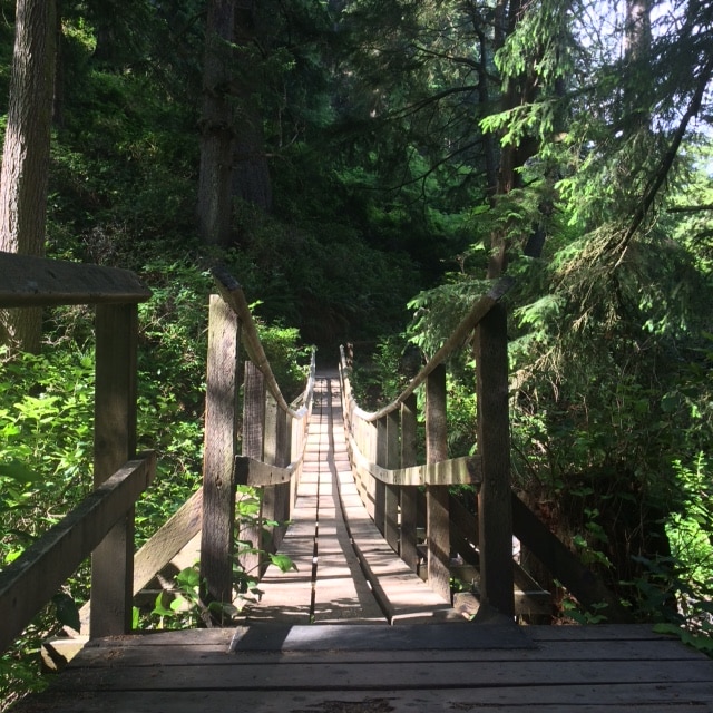 Ecola_State_Park_Bridge