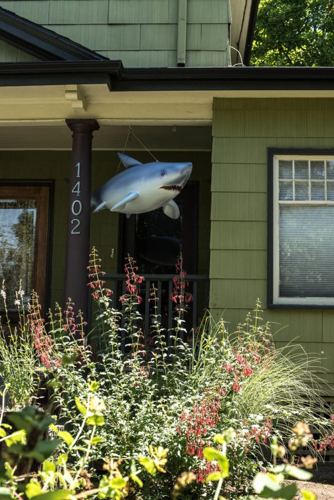 Shark_Porch