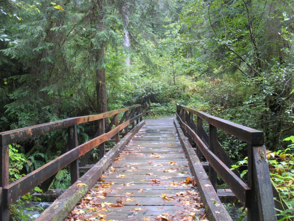 quinault-bridge