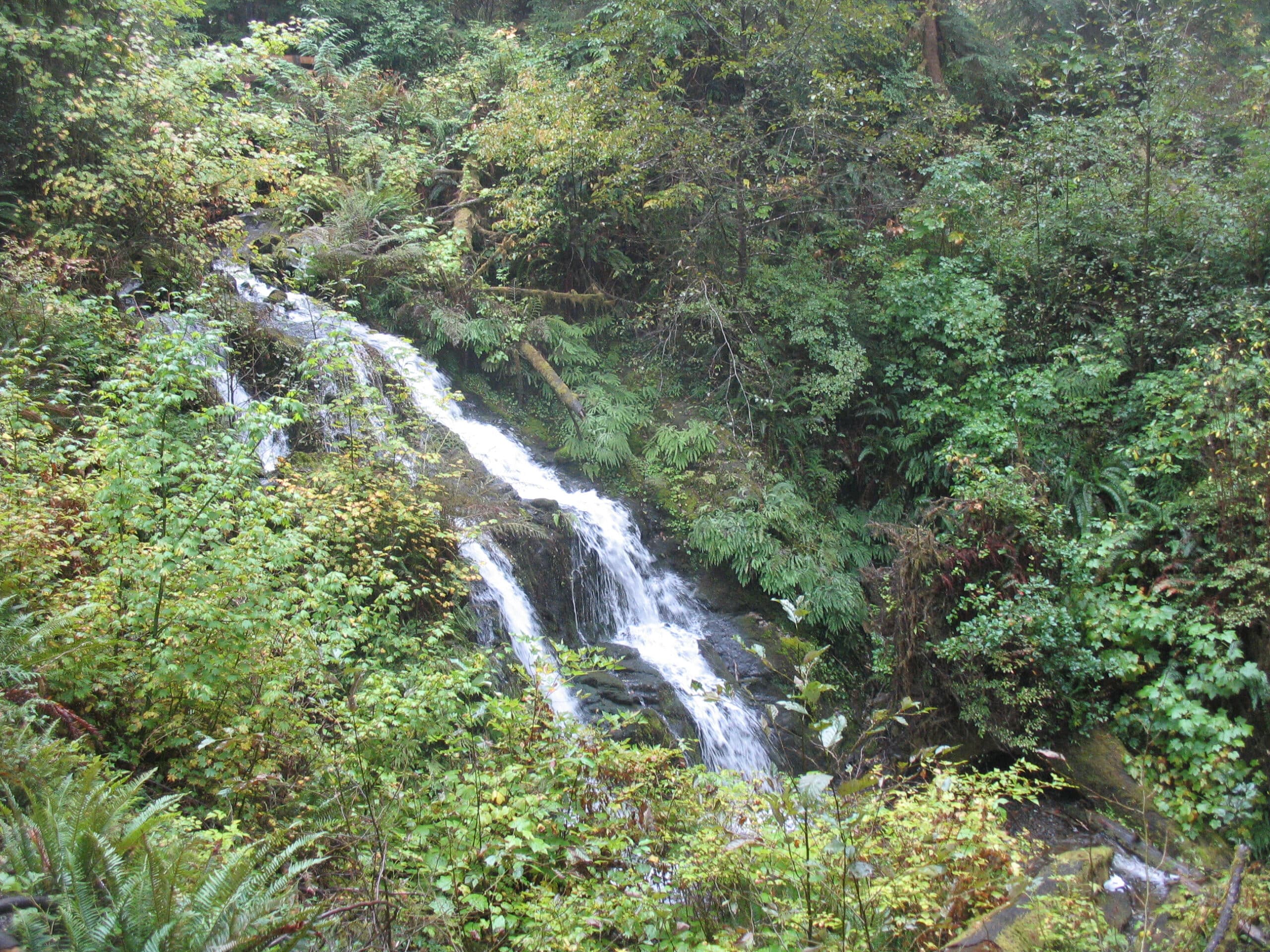 quinault-waterfall