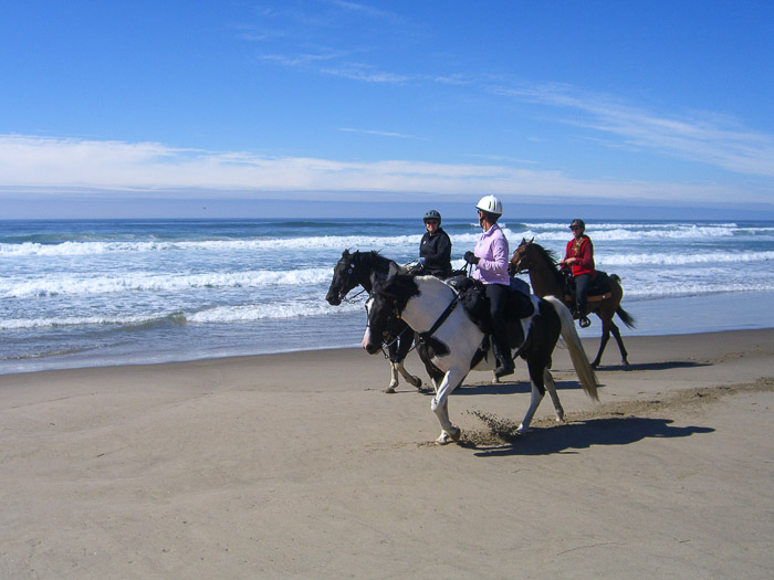 Horseback Riding Nehalem Bay