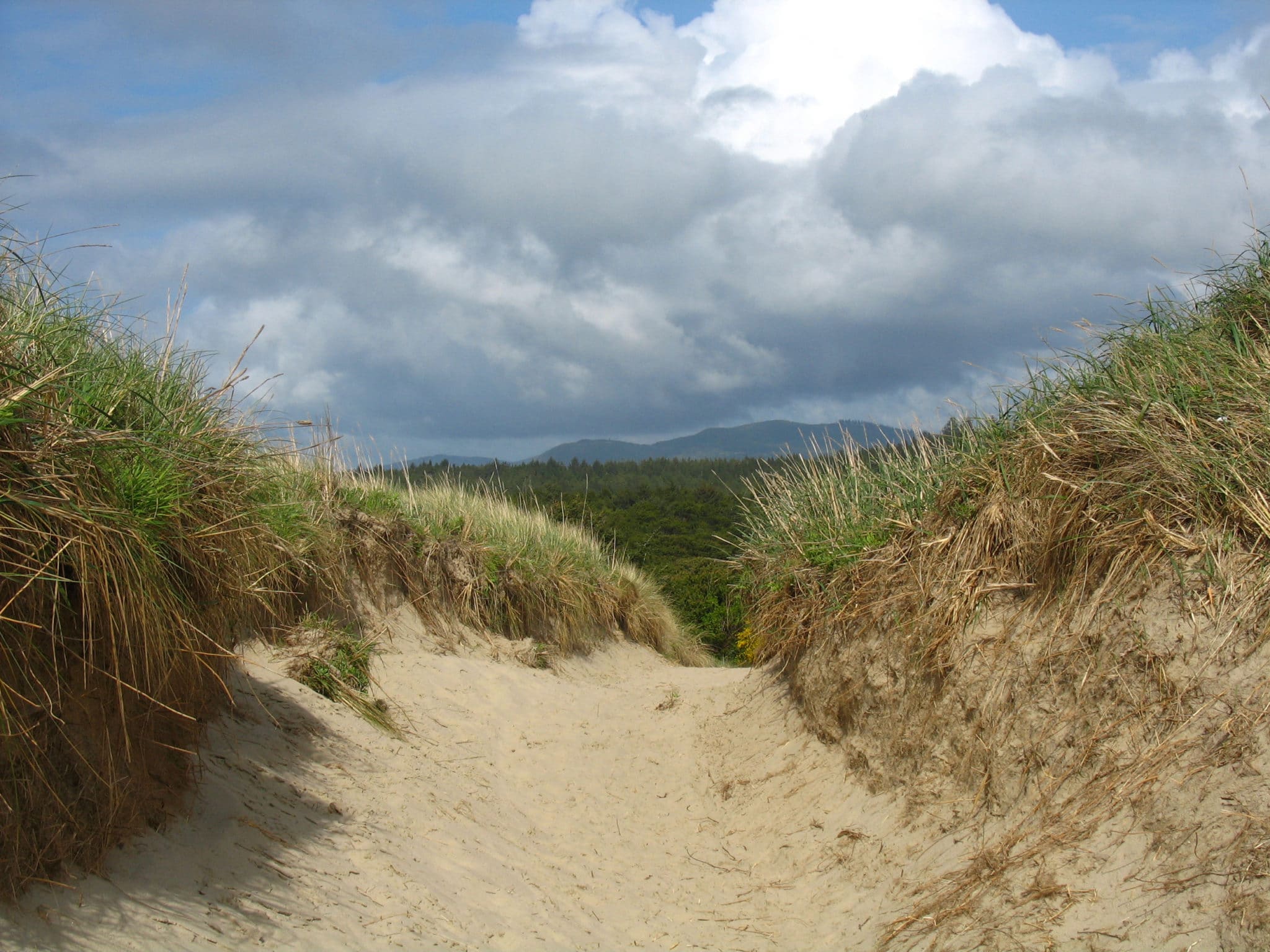 Nehalem Beach Trail