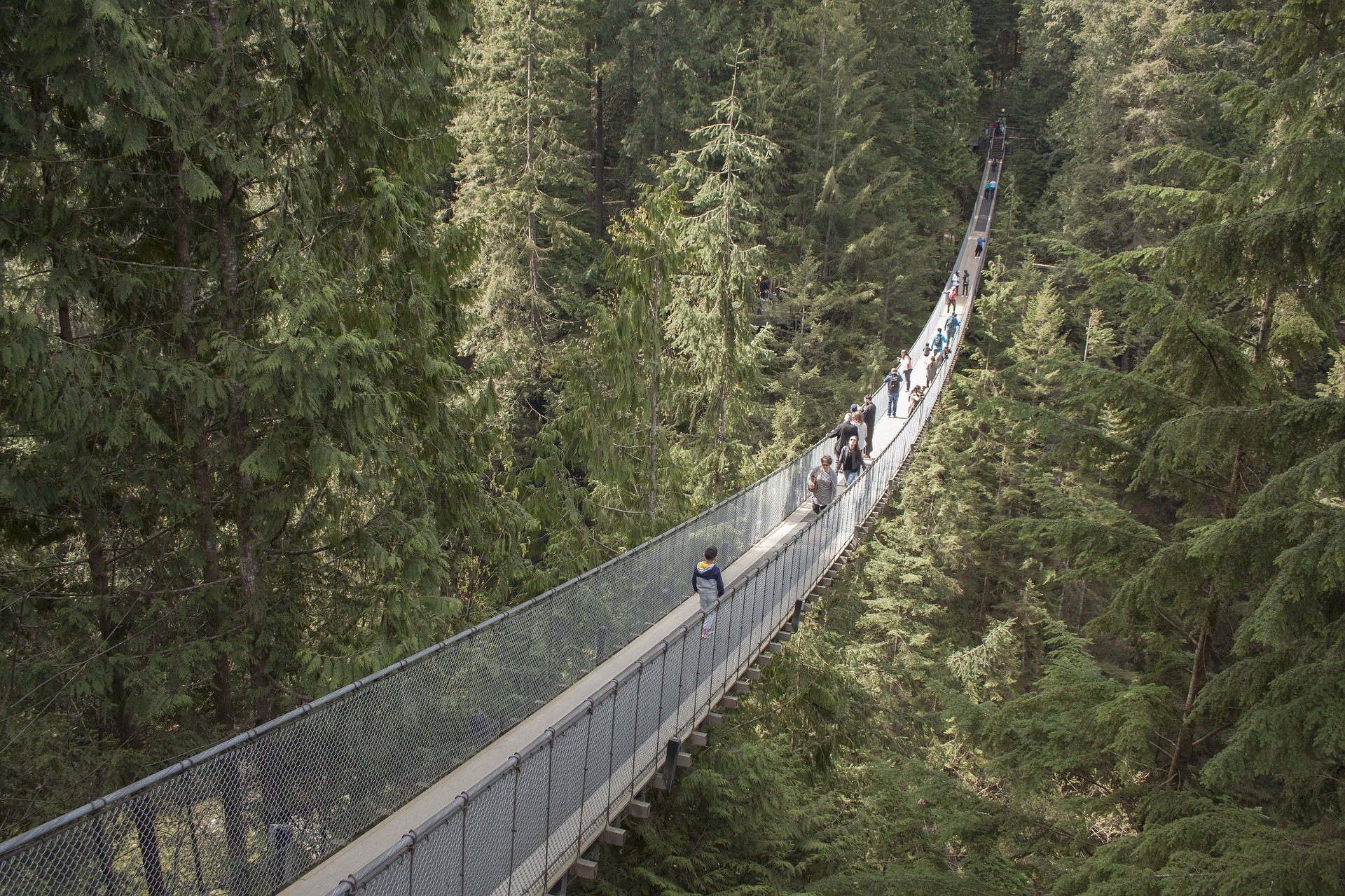 Capilano Suspension Bridge