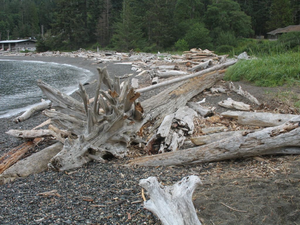 Rosario Beach Washington