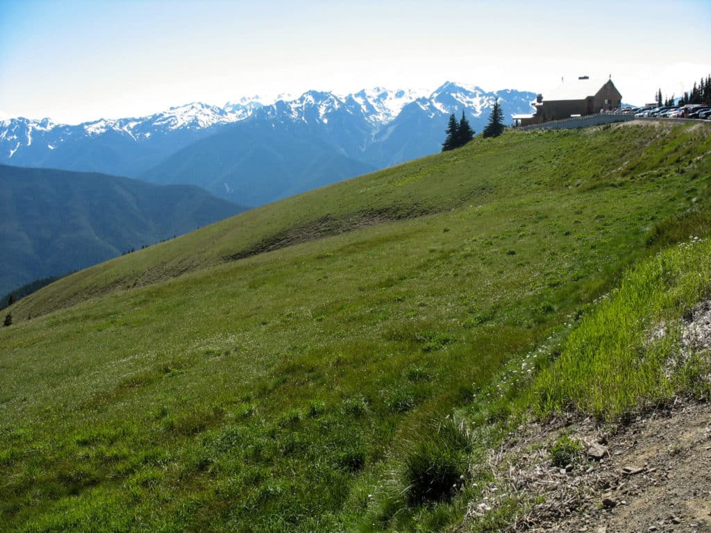 Hurricane Ridge State Park