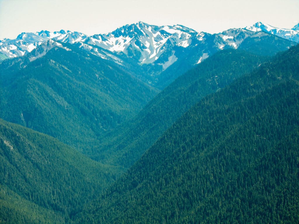 Hurricane Ridge State Park