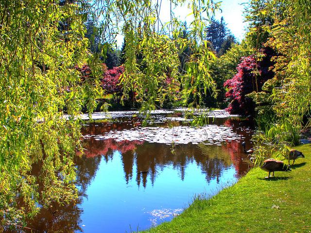 vanDusen Gardens