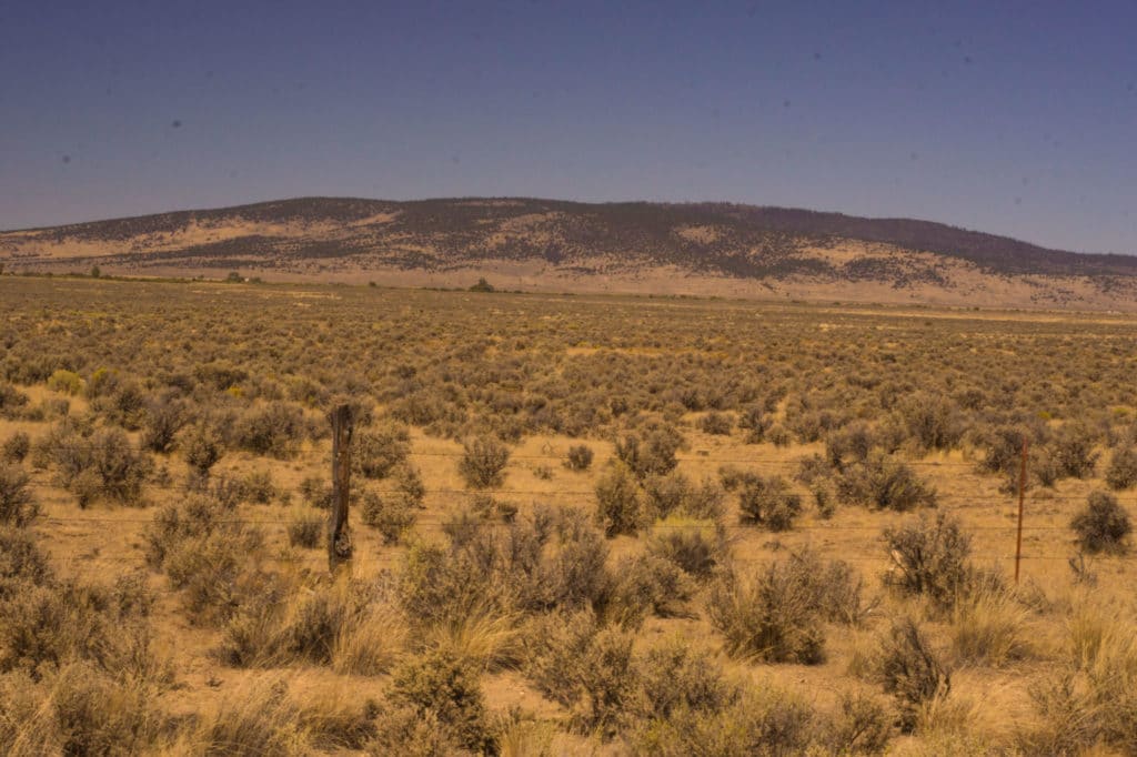 High Desert Country