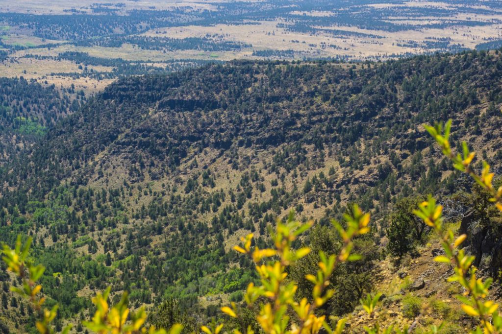 Steens Mountain Loop