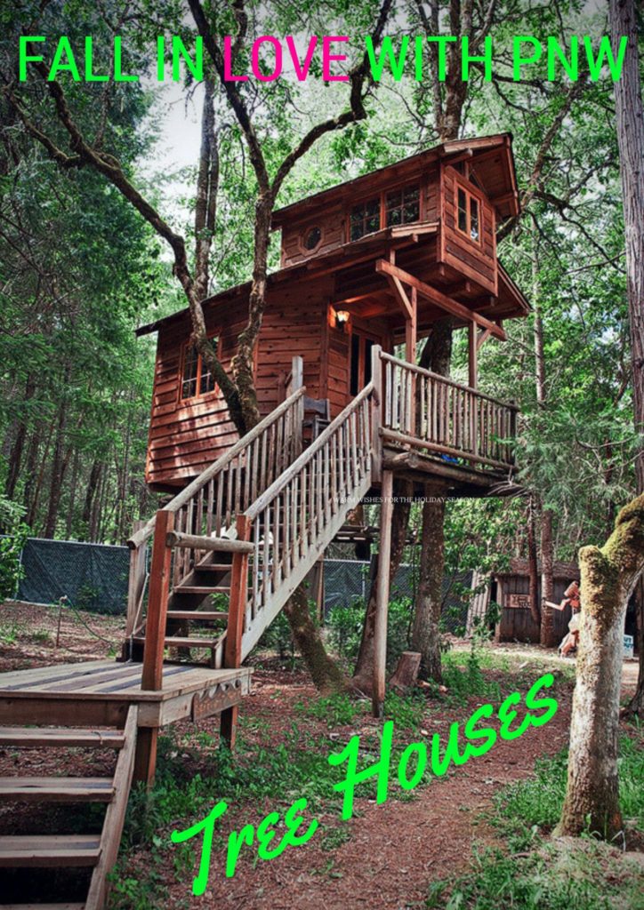 Tree Houses in the Pacific Northwest