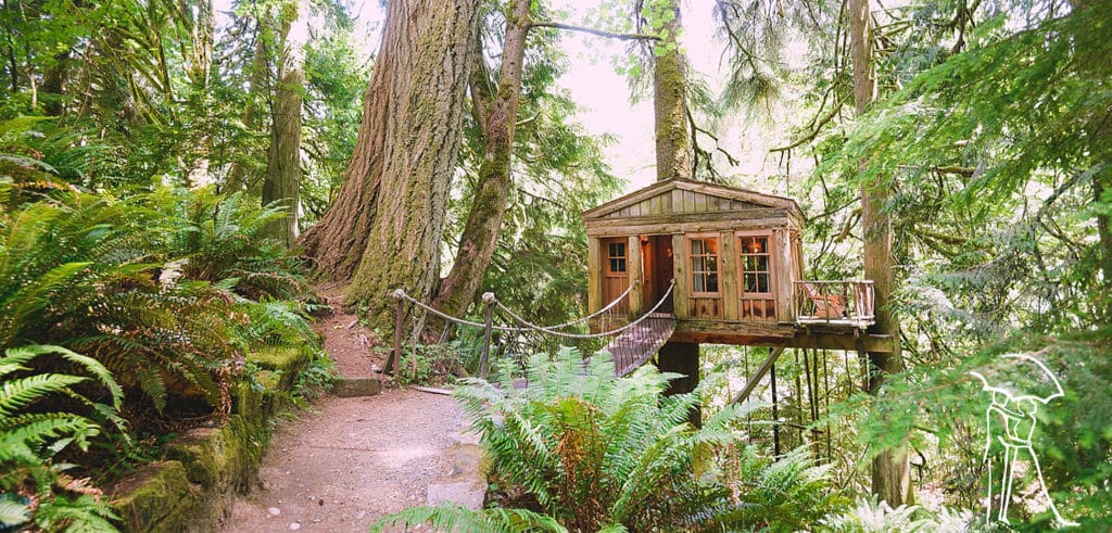 Treehouse Point Washington