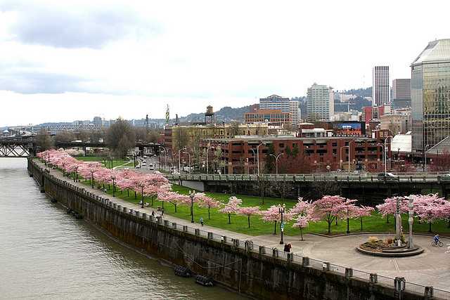 Portland Spring