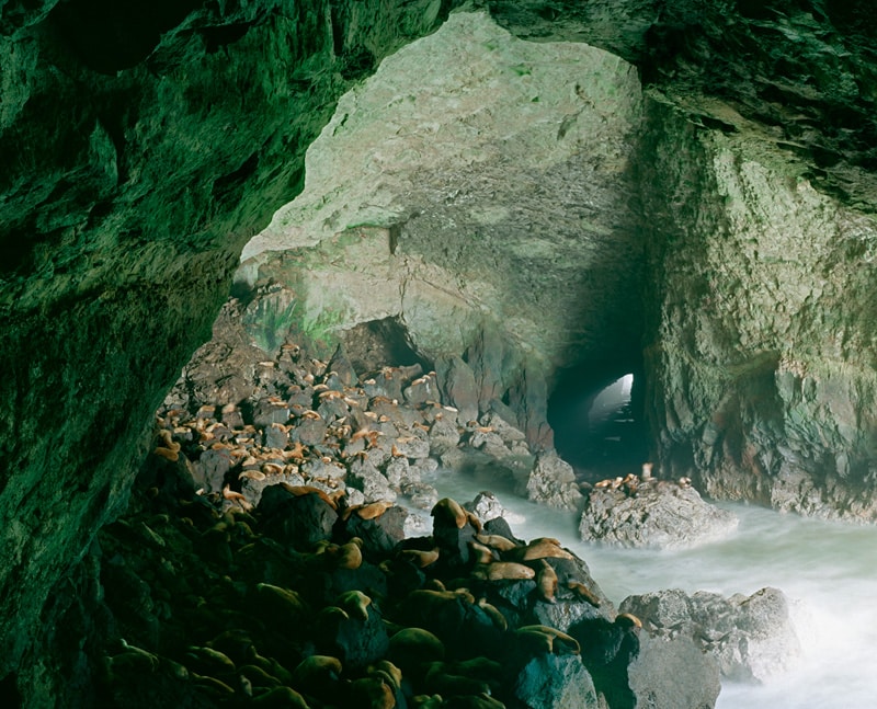 Sea Lion Caves Oregon