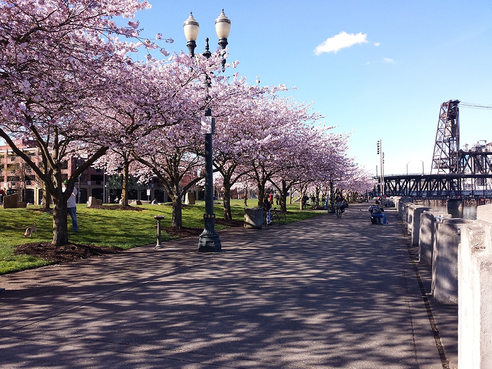 Springtime in Portland