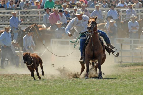 Pendleton Round Up