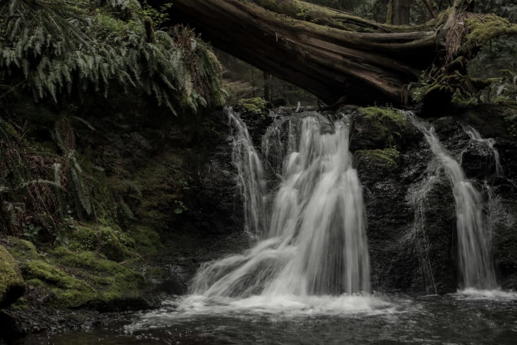 Moran State Park Falls