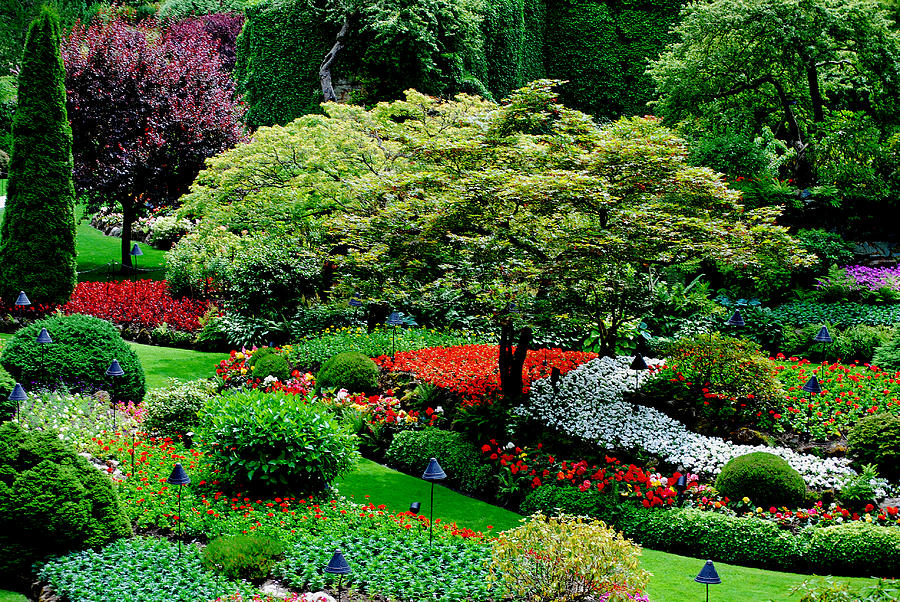 Butchart Gardens