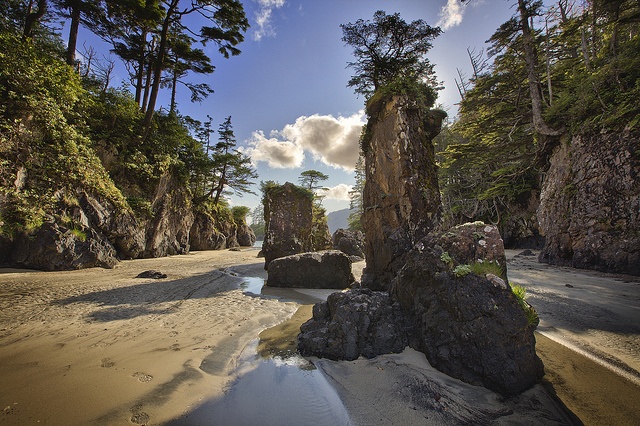 Cape Scott