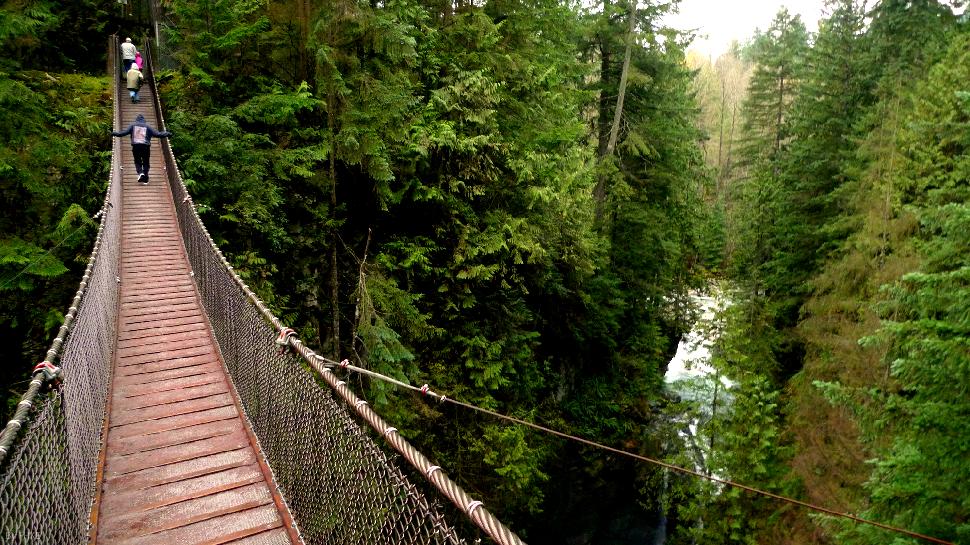 elk falls suspension bridge