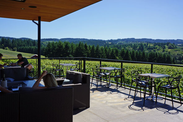 Ponzi Vineyards