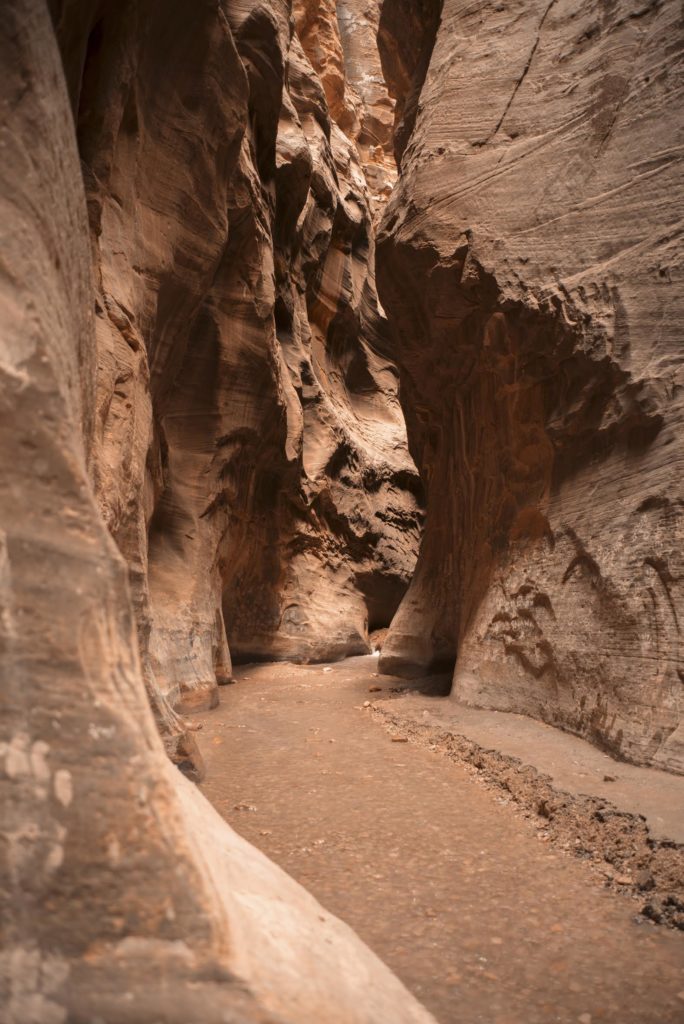 The Narrows at Zion