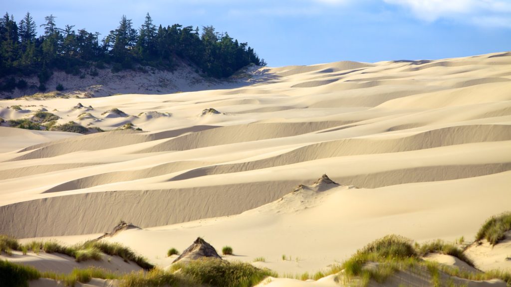 Southern Oregon Coast