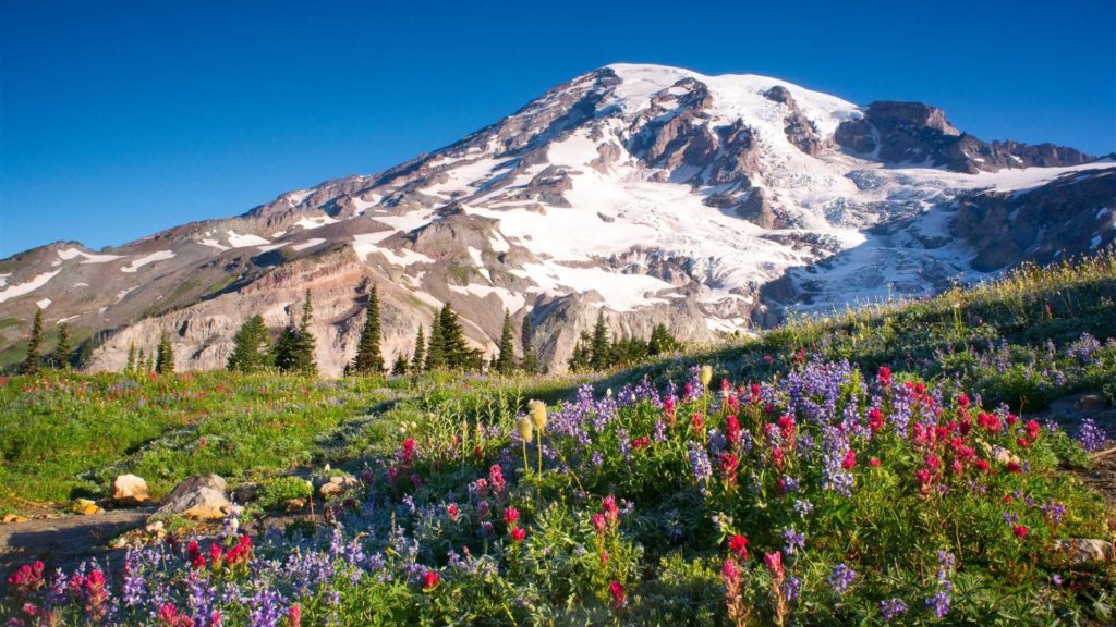 Mount Rainier