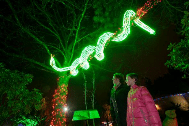 Portland Zoo Lights