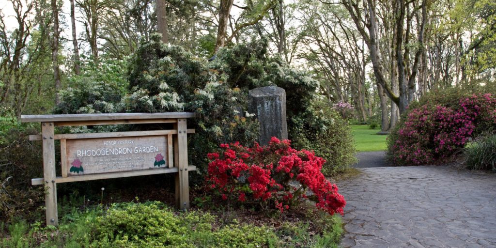 Hendricks Park Eugene