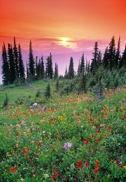 Mount Revelstoke National Park