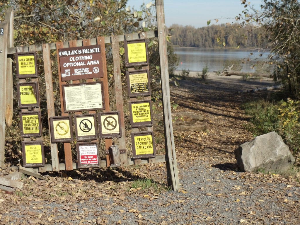 ufo at sauvie island