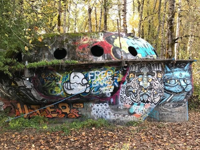 UFO at Sauvie Island