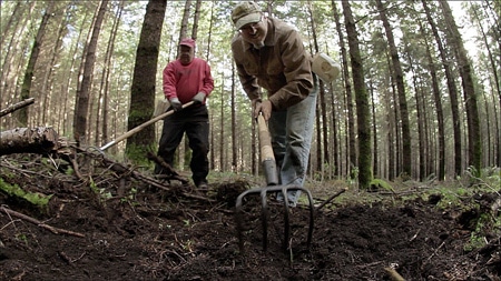 Hunting for Truffles