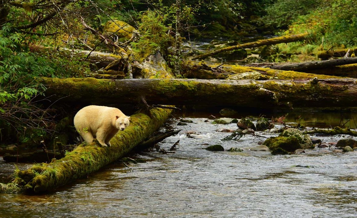 scenic places in the pacific northwest