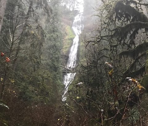 View of Munson Creek Falls in Oregon