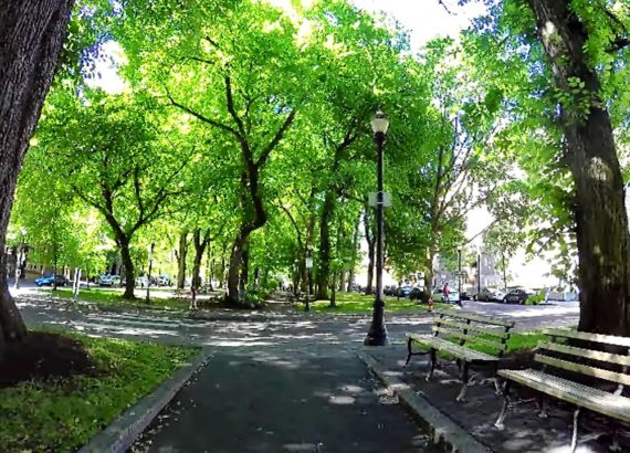 Downtown Portland at the Portland State Univerity Park blocks.