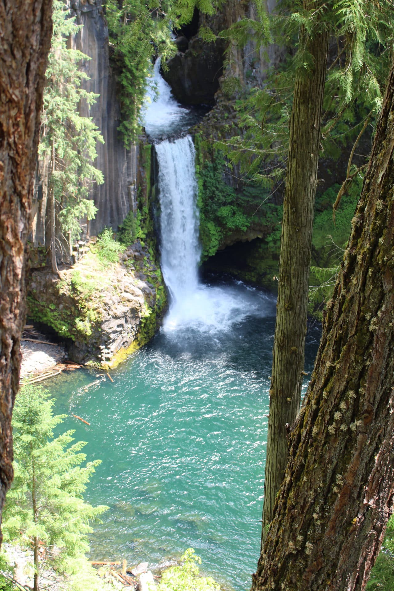 Toketee Falls in Oregon