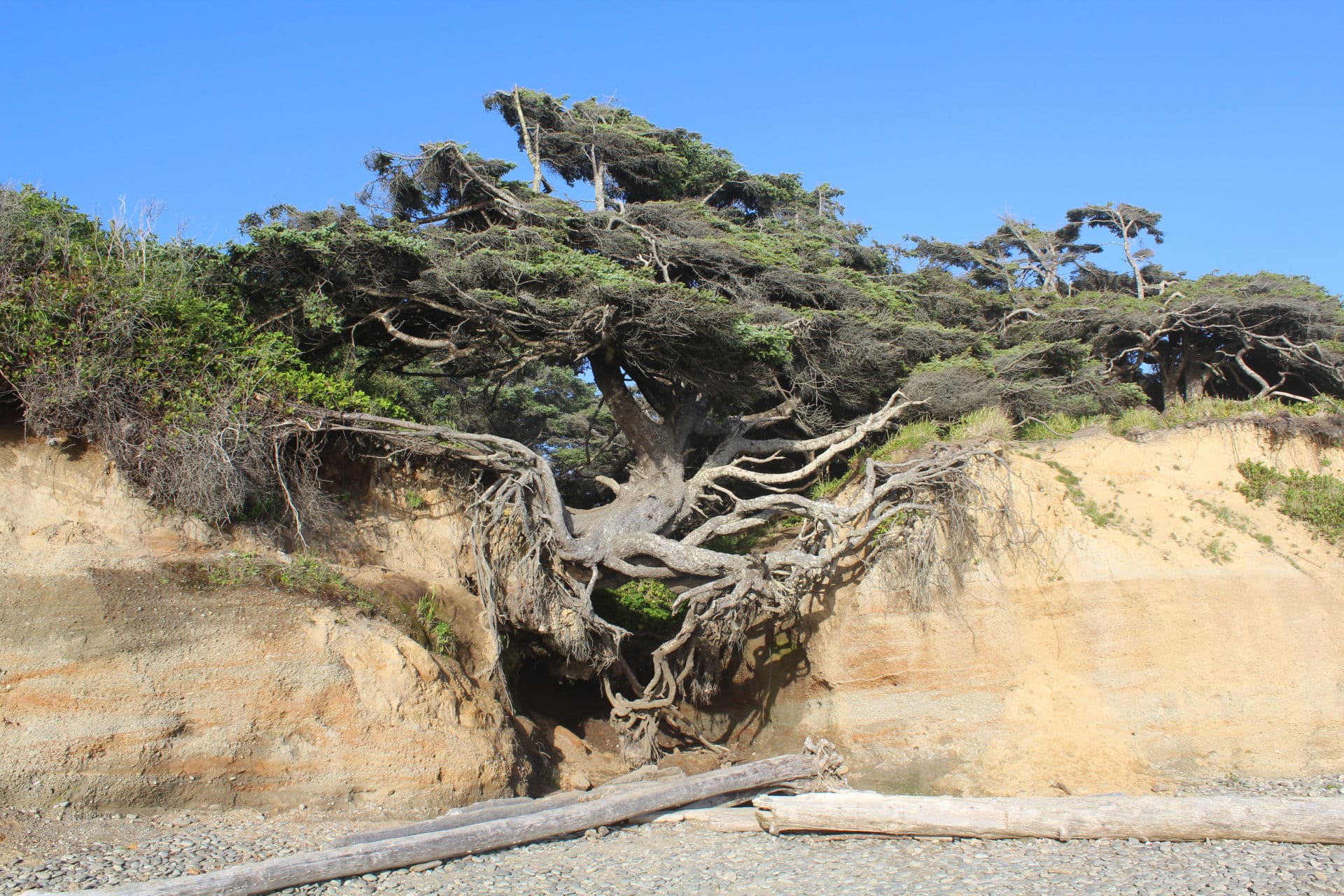 Olympic National Park