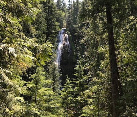 hiking proxy falls in Oregon