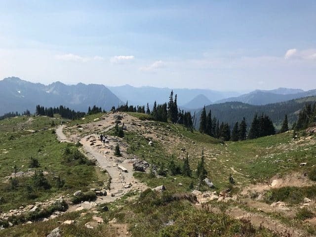 The Skyline Loop Trail in an open field at Mount Rainier National Park.