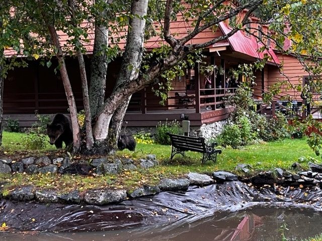 tweedsmuir park lodge