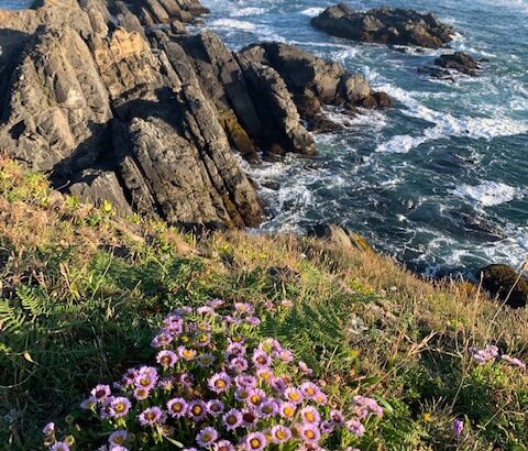 southern Oregon Coast