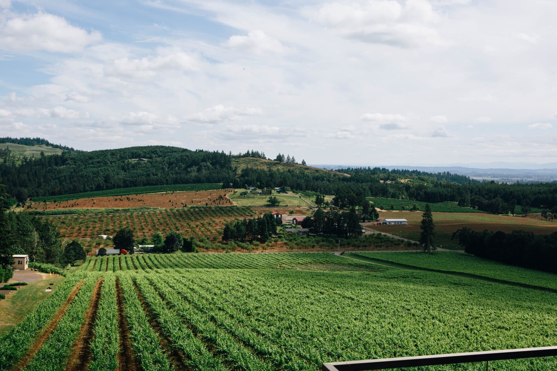 Willamette Valley Vineyard