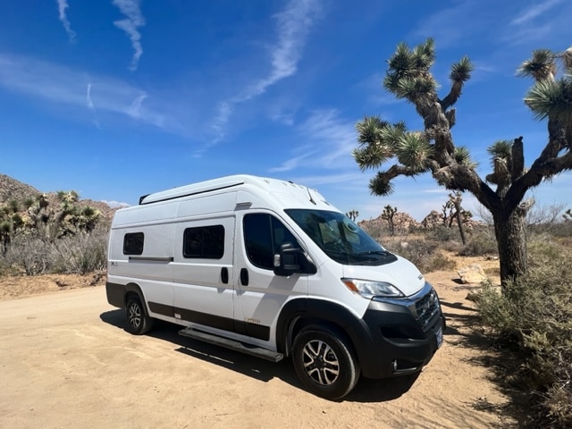 Solis Joshua Tree