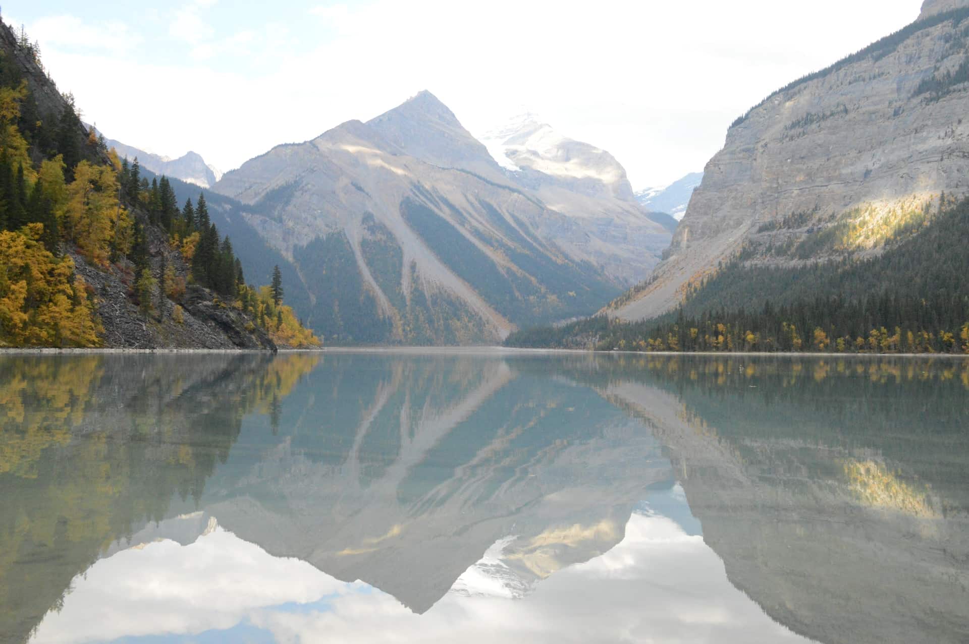 Berg Lake Trail