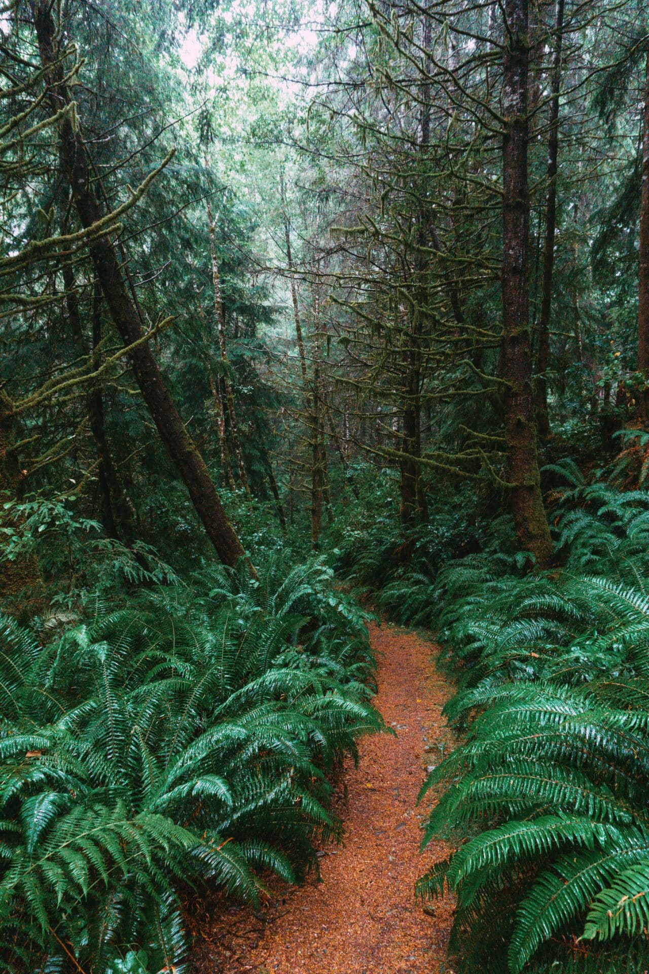 uan de Fuca Trail