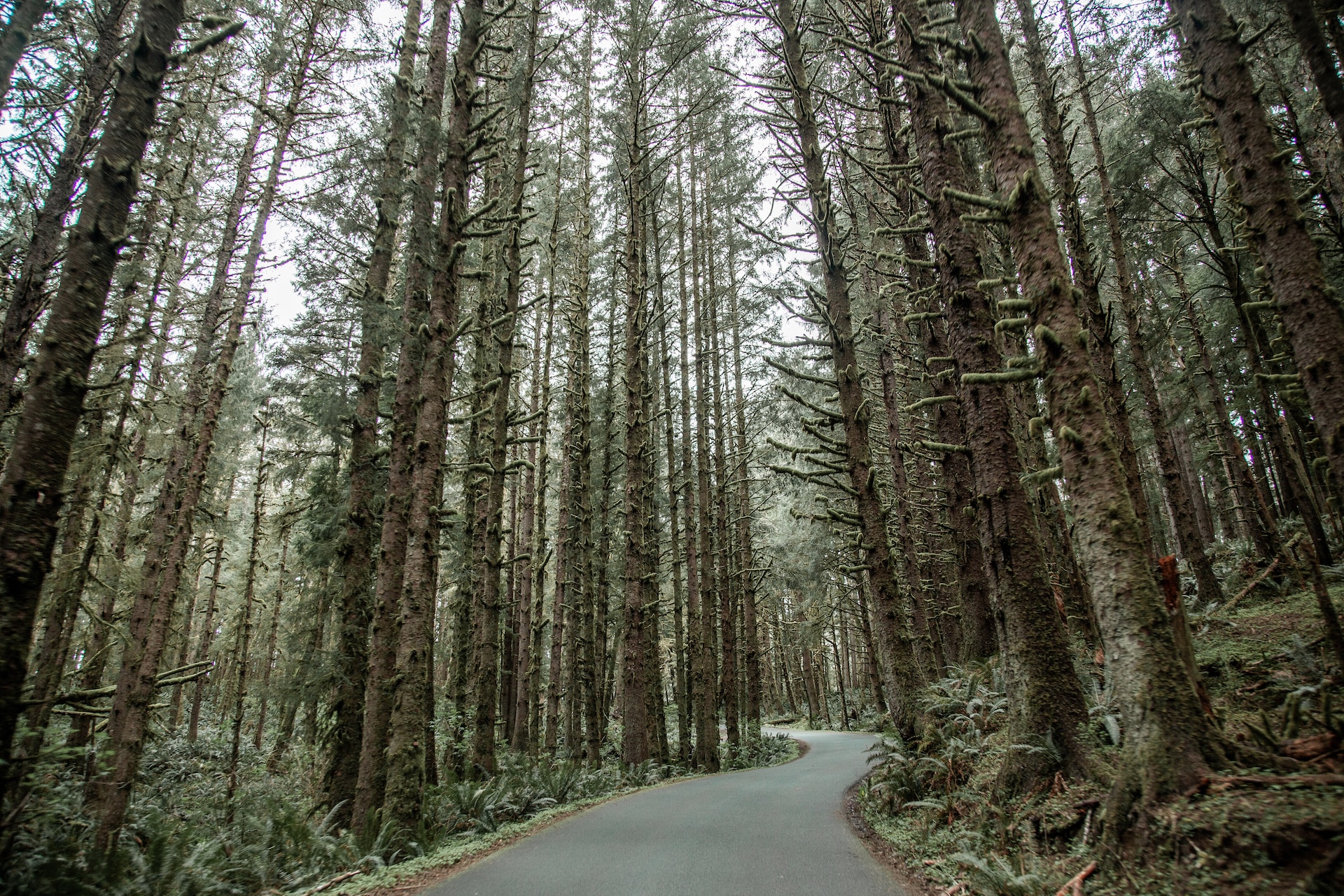 Best Hiking in Oregon
